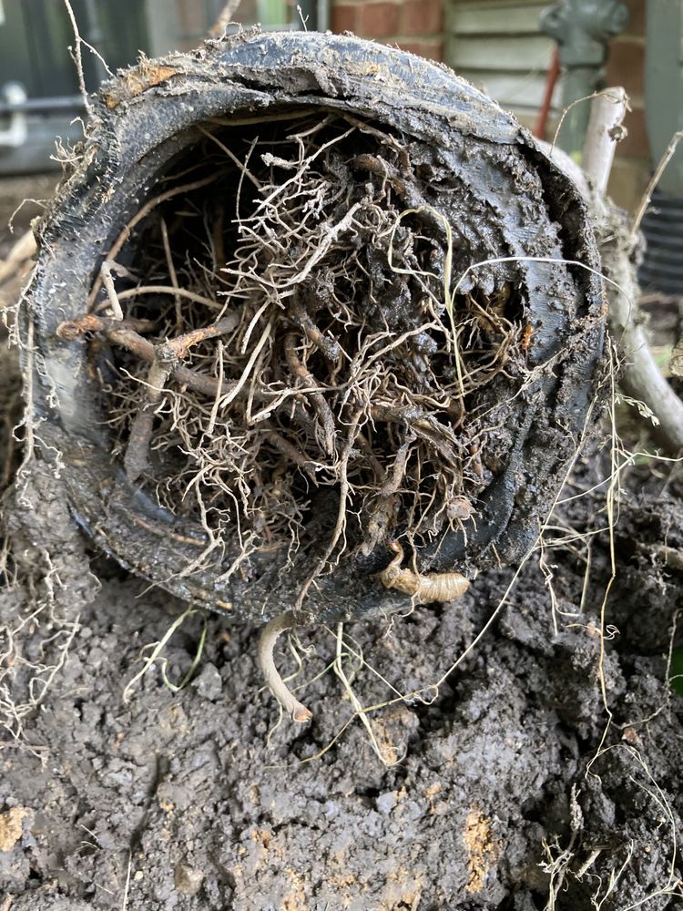 Slide of Prodigy Plumbing Sewer & Drain | Franklin & Nashville Plumber