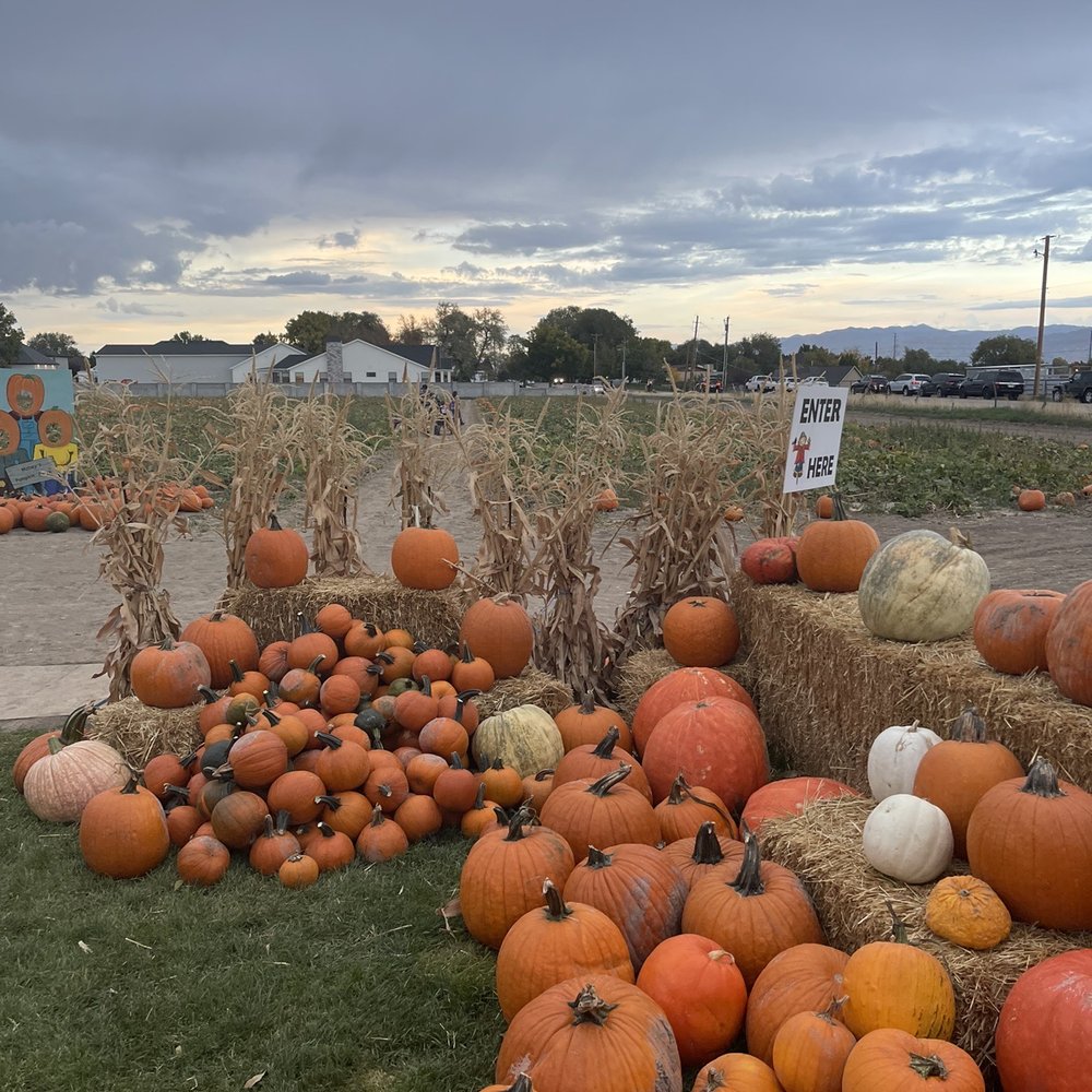 Mabey’s Pumpkin Patch - Pumpkin Patches Near Me - South Jordan, Utah Mabey’s Pumpkin Patch - Pumpkin Patches Near Me - South Jordan, Utah