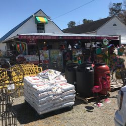 Allen's Nursery & Garden Center