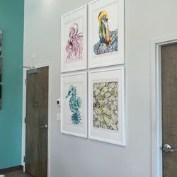 Island Life Animal Hospital