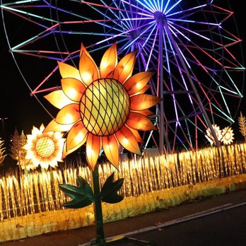 Hello Panda Festival - Festivals Near Me - Corona, New York