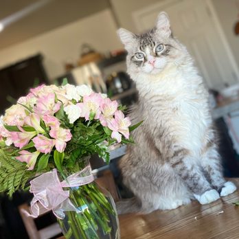 Flowers By My Michelle - Actual bouquet delivered - Florists Near Me - Nampa, Idaho Flowers By My Michelle - Actual bouquet delivered - Florists Near Me - Nampa, Idaho