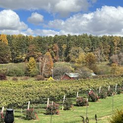 Stonewall Creek Vineyards