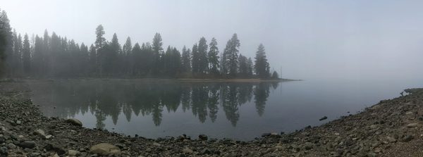 Ponderosa State Park by null