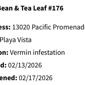 The Coffee Bean & Tea Leaf - This location was closed due to a vermin infestation. You've been warned! - Coffee & Tea Near Me - Playa Vista, California The Coffee Bean & Tea Leaf - This location was closed due to a vermin infestation. You've been warned! - Coffee & Tea Near Me - Playa Vista, California