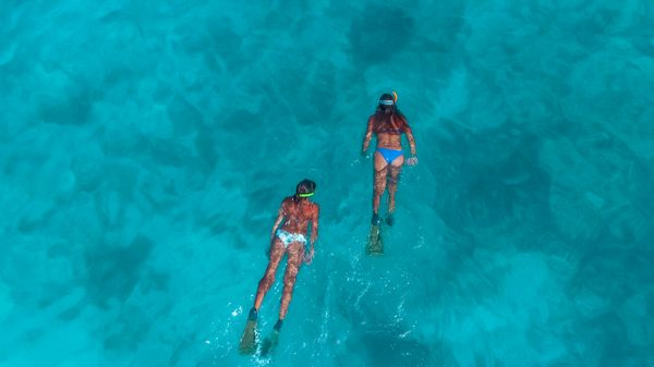 Fury Water Adventures Key West by null