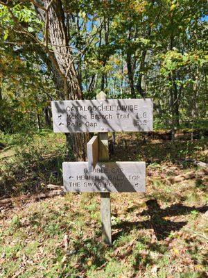 The Swag by null The Swag by null