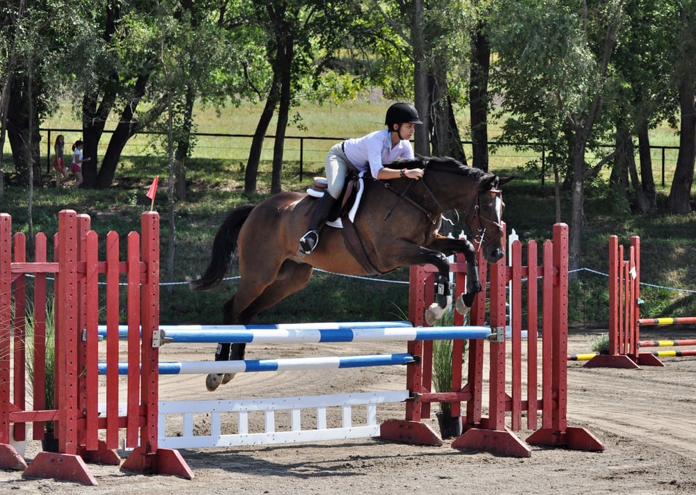 Elite Stables - equestrian in Novelty, OH