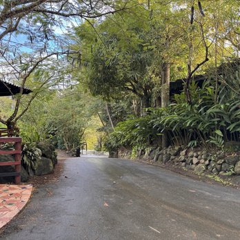 The Hitching Post - Stunning atmosphere sitting on a large equestrian farm! - Tapas Bars Near Me - Río Grande, Puerto Rico The Hitching Post - Stunning atmosphere sitting on a large equestrian farm! - Tapas Bars Near Me - Río Grande, Puerto Rico