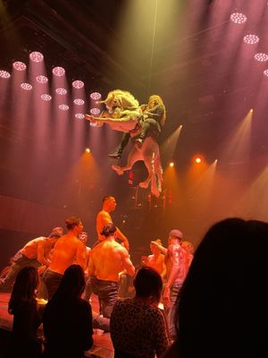 Magic Mike Live by null