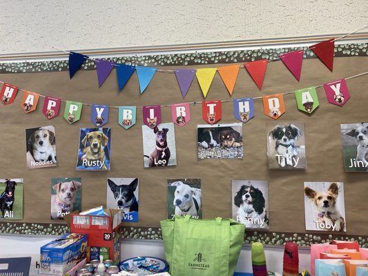 Marin Humane by null