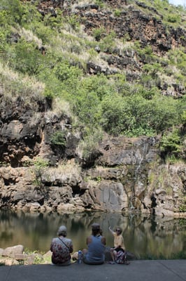 Waimea Valley by null