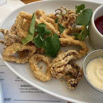 G & B Dockside - Calamari - Seafood Near Me - Fort Lauderdale, Florida G & B Dockside - Calamari - Seafood Near Me - Fort Lauderdale, Florida
