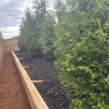 Porters Landscaped - Team made custom made plant beds , also received and planted green giants trees. - Lawn Services Near Me - Marshall, Virginia Porters Landscaped - Team made custom made plant beds , also received and planted green giants trees. - Lawn Services Near Me - Marshall, Virginia