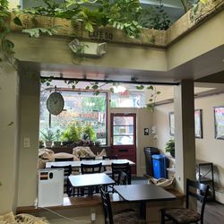 Taylor Roasted Coffeehouse - Cobwebs on the windowsill plants for the Halloween spirit!