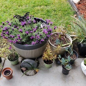 Oasis Landscape - Lawn Services Near Me - Tracy, California Oasis Landscape - Lawn Services Near Me - Tracy, California