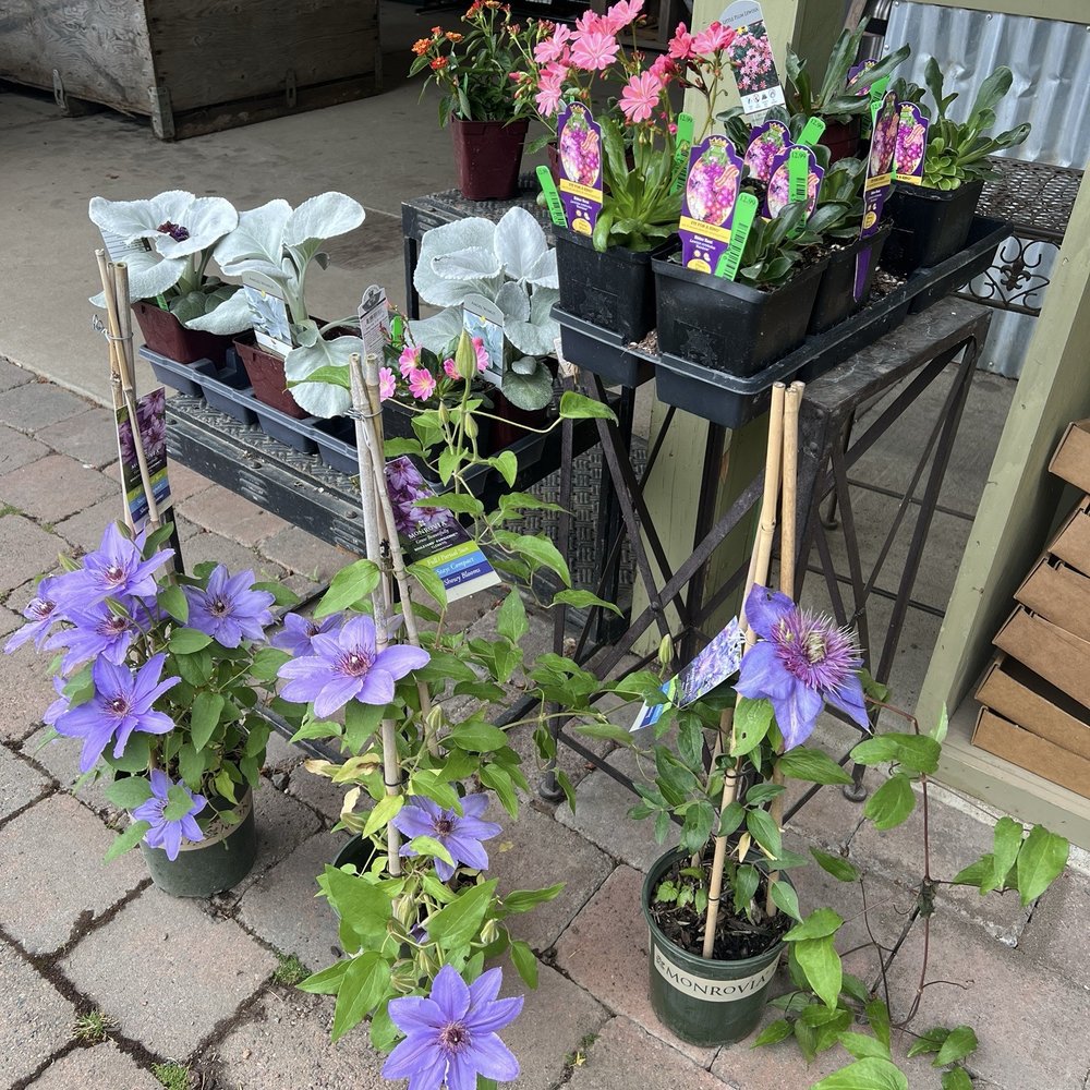 Smith Berry Barn - Beautiful plants for your garden! - Nurseries & Gardening Near Me - Hillsboro, Oregon Smith Berry Barn - Beautiful plants for your garden! - Nurseries & Gardening Near Me - Hillsboro, Oregon