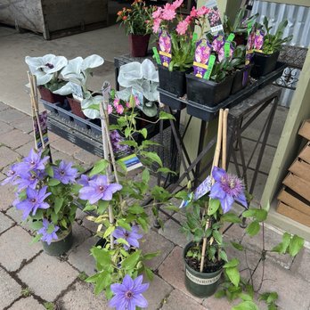 Smith Berry Barn - Beautiful plants for your garden! - Nurseries & Gardening Near Me - Hillsboro, Oregon