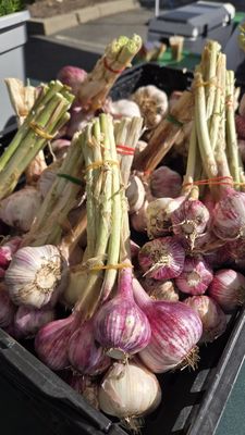 Meadowview Certified Farmers’ Market by null