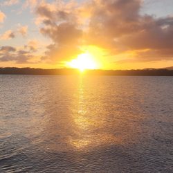 Ford Island Historical Trail - February sunset