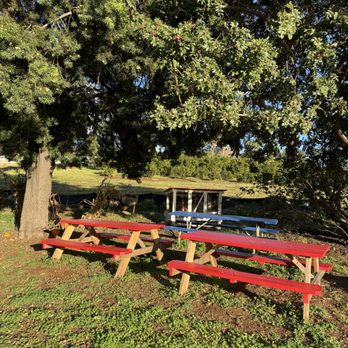 Fran's Original Farm Stand - Cute seating in the shade under the trees - Farmers Market Near Me - Escondido, California