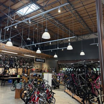 REI - Bike center - Sports Wear Near Me - San Diego, California REI - Bike center - Sports Wear Near Me - San Diego, California