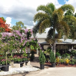 Scott's Landscape Nursery - Summer time in our garden Center