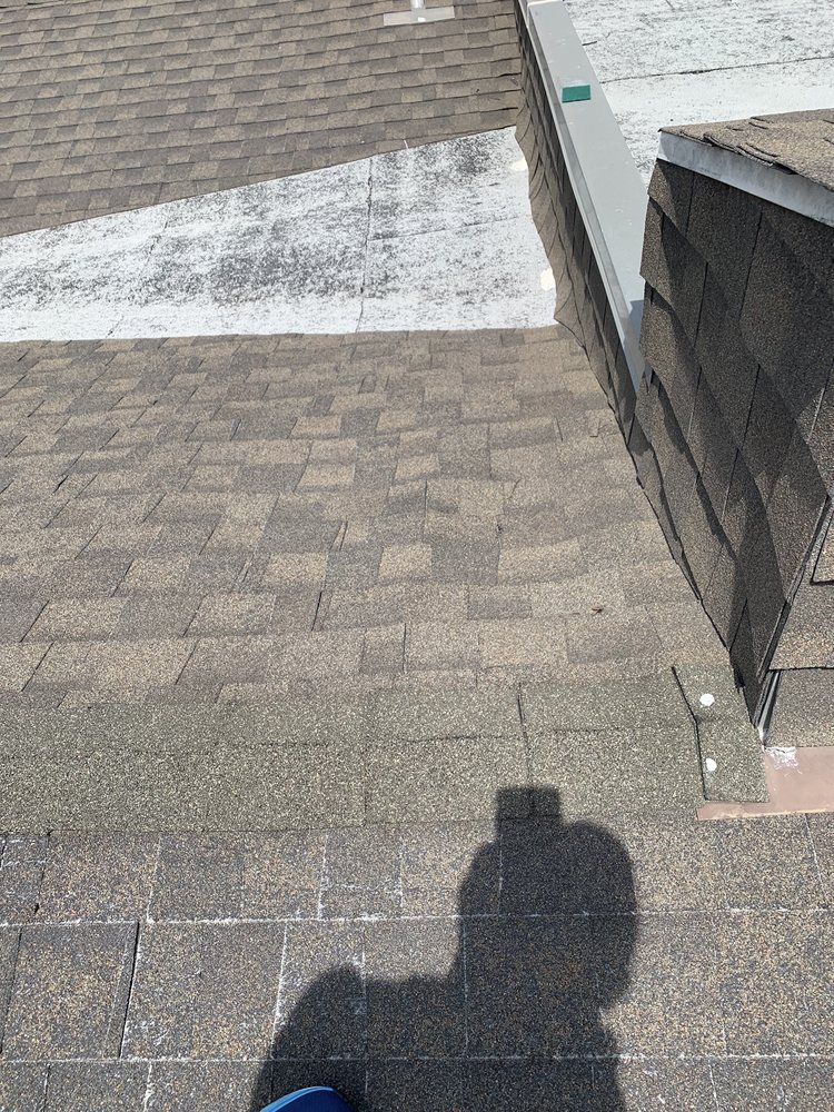 Slide of DNA Roofing