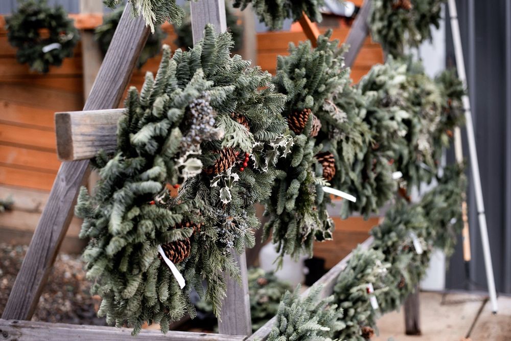 QUAIL CREEK RANCH CHRISTMAS TREES 14 Photos & 21 Reviews 9955 NW