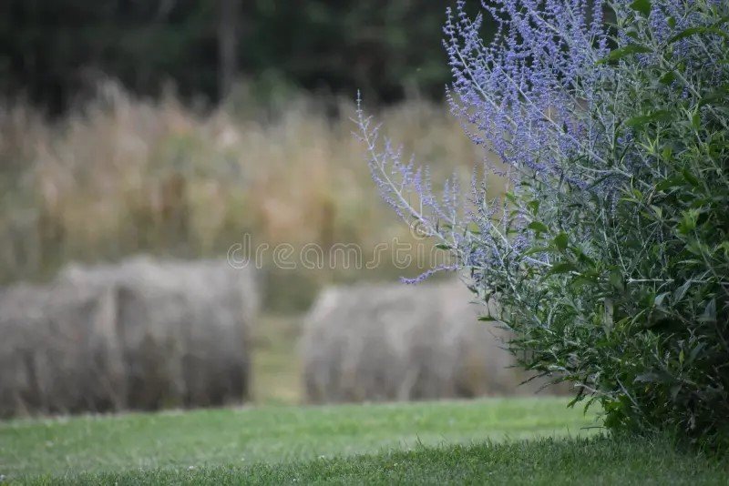 Prairie Winds Counseling - grief counselor in Colorado Springs, CO