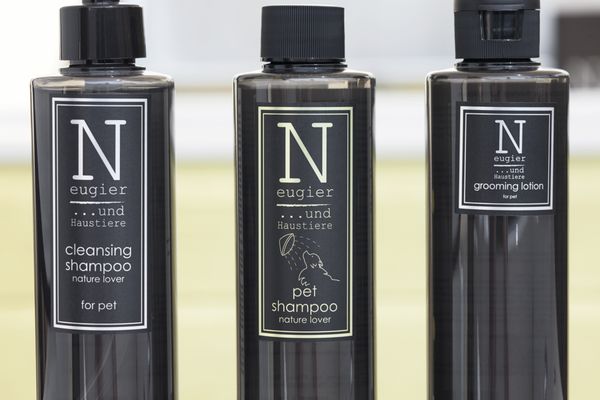 Canine To Five by null