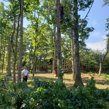 Voorhees Logging & Tree Service - a man standing in the woods - Tree Services Near Me - Shermans Dale, Pennsylvania Voorhees Logging & Tree Service - a man standing in the woods - Tree Services Near Me - Shermans Dale, Pennsylvania