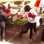 Photo of South San Francisco Farmers' Market