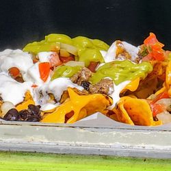 Llama Fusion - Saw an order of nachos ($15, 4/2/25)