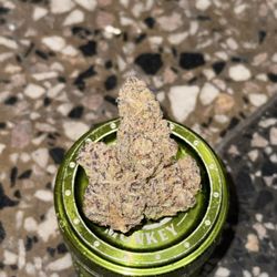 High Tidez Cannabis Dispensary - Gastopia | Indica
