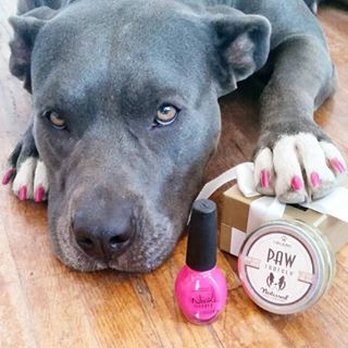 Paws Mobile Grooming - Pet Groomers Near Me