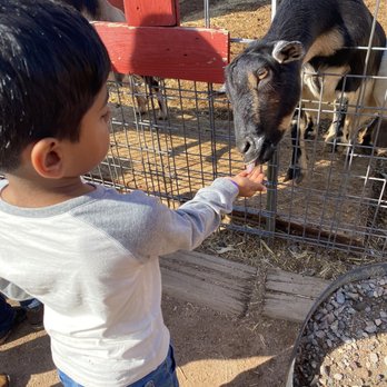 Vertuccio Farms - Farmers Market Near Me - Mesa, Arizona