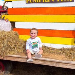 Shuckle's Corn Maze & Pumpkin Patch