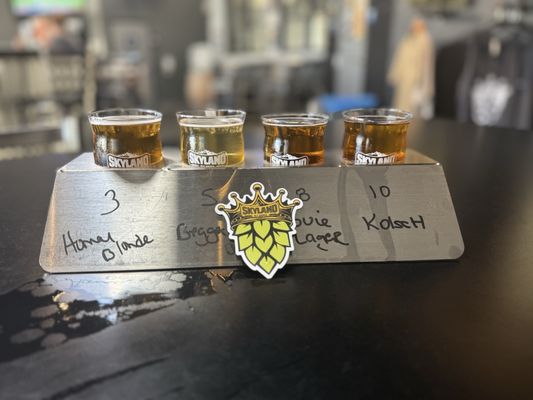 Skyland Ale Works by null