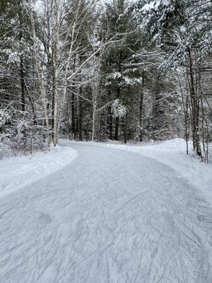 Arrowhead Provincial Park by null