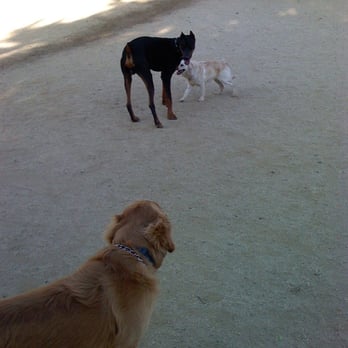 Hermon Dog Park - Mine is the small one. Note the clear delineation of dust and grass. - Dog Parks Near Me - Los Angeles, California