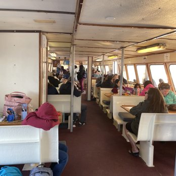 7 Seas Whale Watch - Whale Watching Tours Near Me - Gloucester, Massachusetts