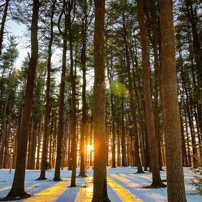 Quinnipiac University by null