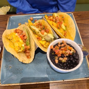 First Watch - Chicken tacos - Breakfast & Brunch Near Me - Morris Plains, New Jersey
