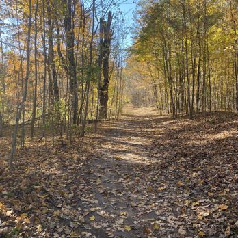 Dainty Track - Hiking Near Me - Whitchurch-Stouffville, Ontario Dainty Track - Hiking Near Me - Whitchurch-Stouffville, Ontario