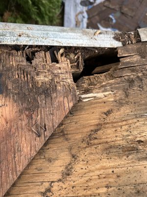 Redeemer Roofing Logo