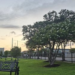 Katherine Davis Park - Big green space for relaxing