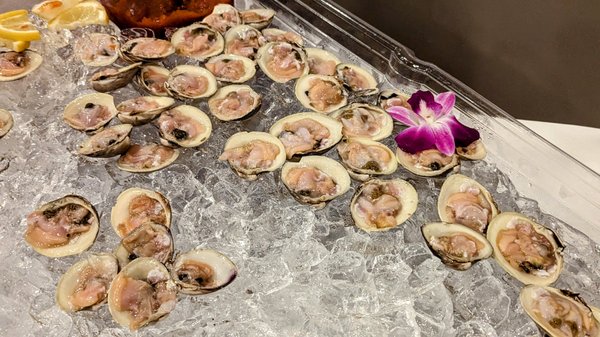 Venezia Restaurant Boston by null