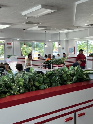 In-N-Out Burger by null