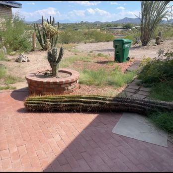 AAA Insurance - Cactus blocking ingress egress  AAA hasn't paid for cactus nor removal that caused injury. - Auto Insurance Near Me - Washington, Utah